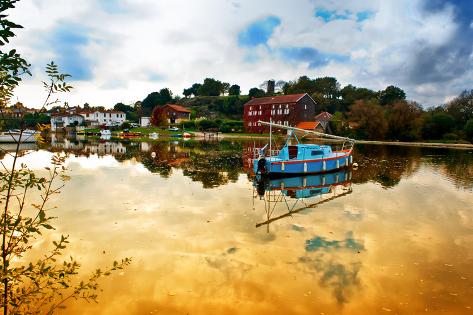 chat loire atlantique