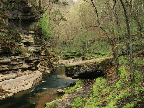 Raven Run Nature Sanctuary, Lexington, Kentucky, USA Photographic ...