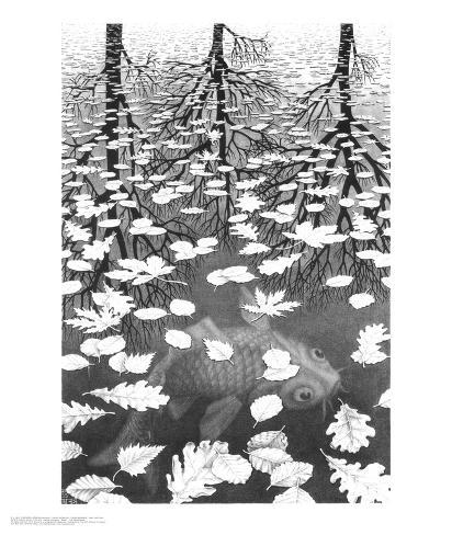 Escher Poster