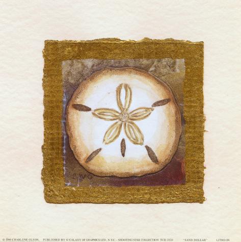 Sand Dollar Border