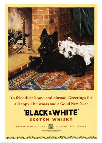 Black Dog Scotch