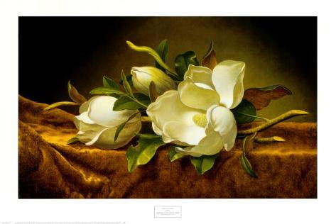 Magnolias on Gold Velvet Cloth Art Print