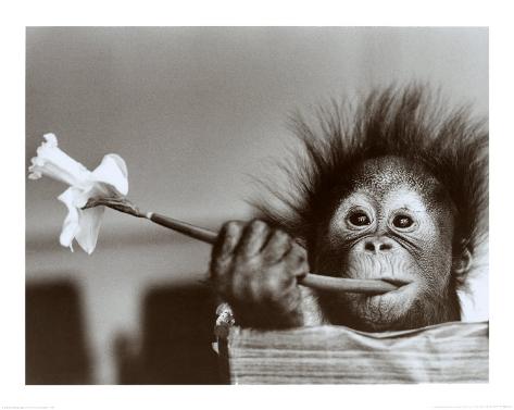Hair Raising Experience Art Print