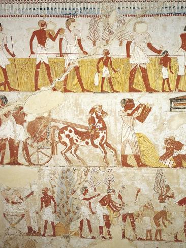Essay On Egyptian Civilization