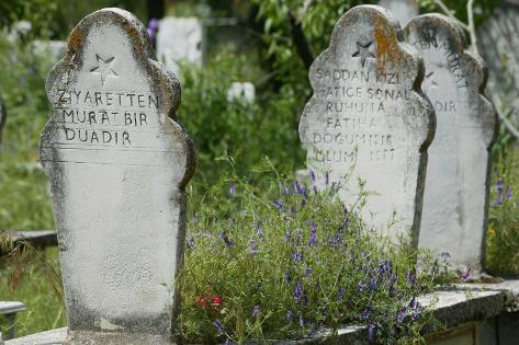 lake monroe muslim Burial & cremation laws in new york by shae irving, jd share on google plus share on facebook each state has laws affecting what happens to a body after death. lake monroe muslim Burial & cremation laws in new york by shae irving, jd share on google plus share on facebook each state has laws affecting what happens to a body after death.