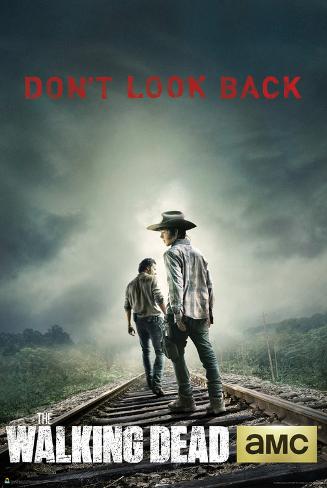 The Walking Dead Don't Look Back Poster
