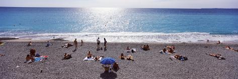 chat alpes maritimes