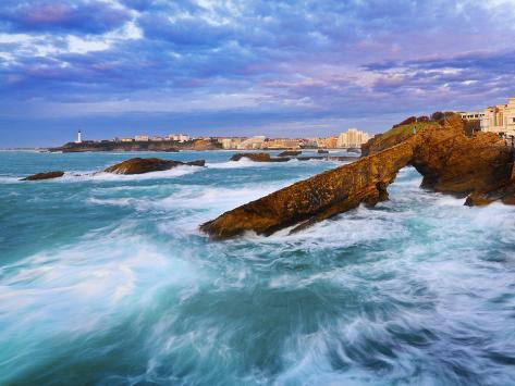chat biarritz