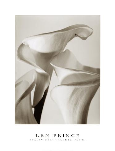 Lilies 1996