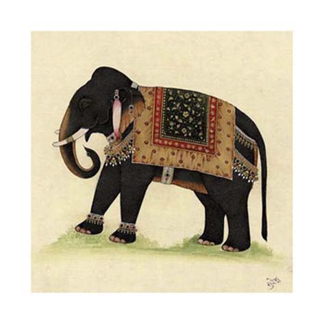 elephant india