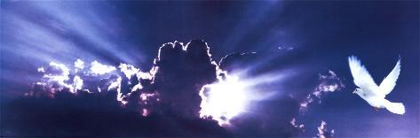 Sky With Dove