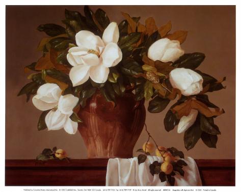 Magnolia with Apricots Posters by Joe Anna Arnett at AllPosterscom