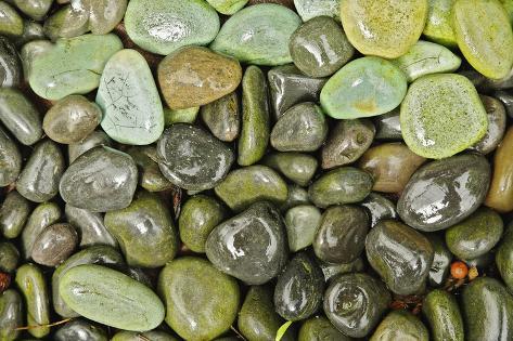 Decorative Landscaping Rocks, Florida, USA Photographic Print by Adam ...