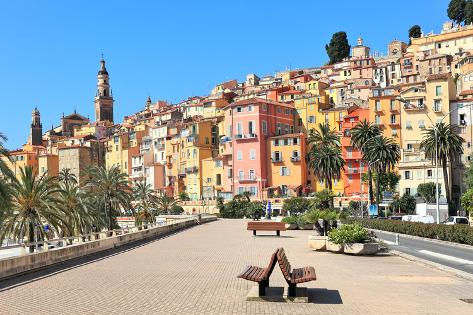 chat menton