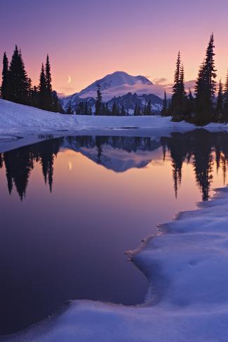 chat tarn