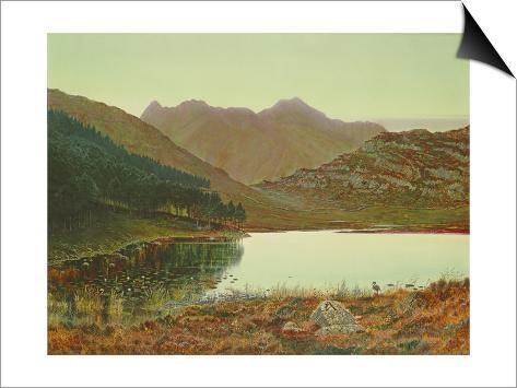 chat tarn
