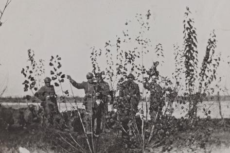 Fighting Along The Piave [1918]