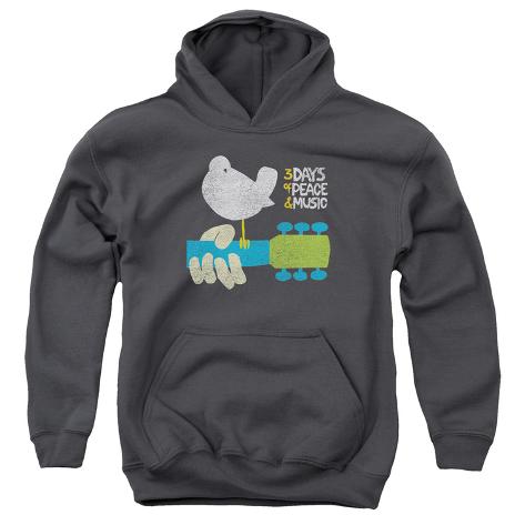Youth Hoodie: Woodstock - Perched Pullover Hoodie na AllPosters.com.br
