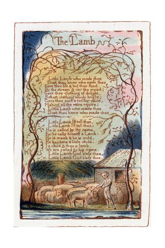 essay william blake lamb essay william blake lamb