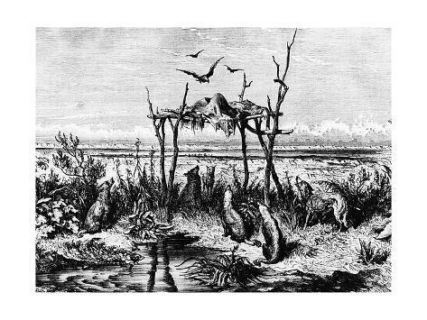 American funeral customs essay
