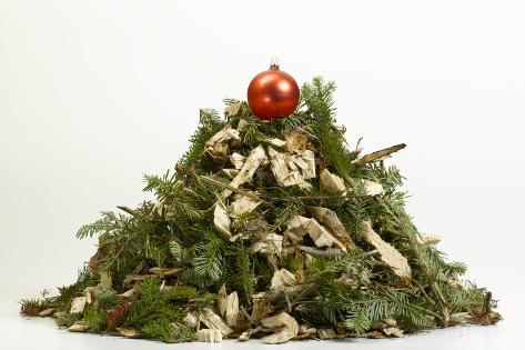 a christmas tree shredded into mulch photographic print by a christmas tree shredded into mulch photographic print by