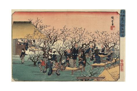 plum garden at kameido essay ~~ book published by t hasegawa ~~ calendar for 1903 the landscapes of japan hasegawa, t (takejiro) calendar for 1903, the landscapes of japan, t. plum garden at kameido essay ~~ book published by t hasegawa ~~ calendar for 1903 the landscapes of japan hasegawa, t (takejiro) calendar for 1903, the landscapes of japan, t.
