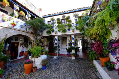 Courtyard of casa patio, cordoba, andalucia, spain photographic ... Patio décor Andaluces