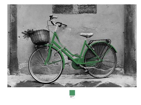 http://imgc.allpostersimages.com/images/P-473-488-90/94/9430/C3R9500Z/posters/armand-brito-bicycle-photograph-2.jpg