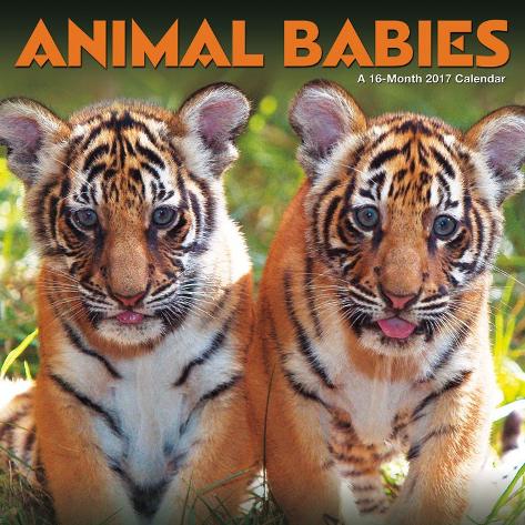 Schleich 2017 Wild Life Preview – MiniZoo Blog