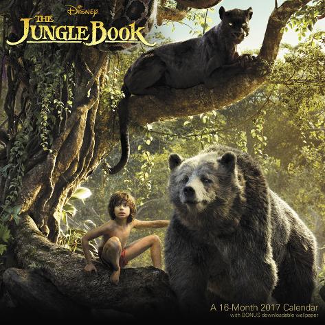 2017 Jungle 2017 Jungle