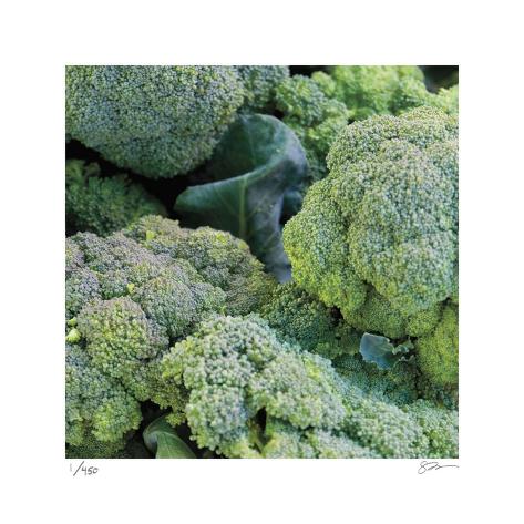 broccoli limited edition by bass allposters co uk broccoli limited edition by bass allposters co uk