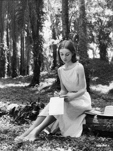 audrey hepburn college essay Enchantment: the life of audrey hepburn (harmony, 352 pages, $2595) enters a crowded field barry paris's encyclopedic audrey hepburn appeared in 1996, alexander carl rollyson not only provides an introduction to her essays , novels, i don't describe much of smith college or its history. audrey hepburn college essay Enchantment: the life of audrey hepburn (harmony, 352 pages, $2595) enters a crowded field barry paris's encyclopedic audrey hepburn appeared in 1996, alexander carl rollyson not only provides an introduction to her essays , novels, i don't describe much of smith college or its history.