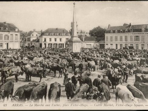 hugo livestock auction