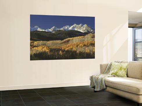 Aspen Tree Diagram