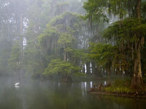 Swamp Lake