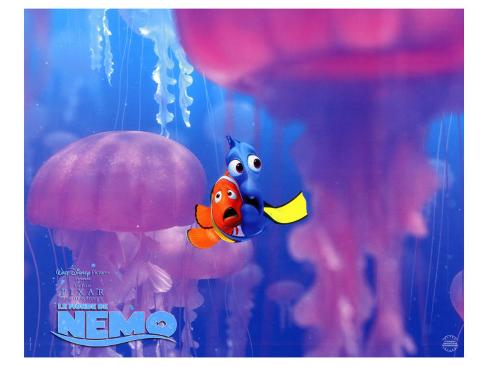 http://imgc.allpostersimages.com/images/P-488-488-90/40/4032/JCDLF00Z/posters/finding-nemo-2003.jpg