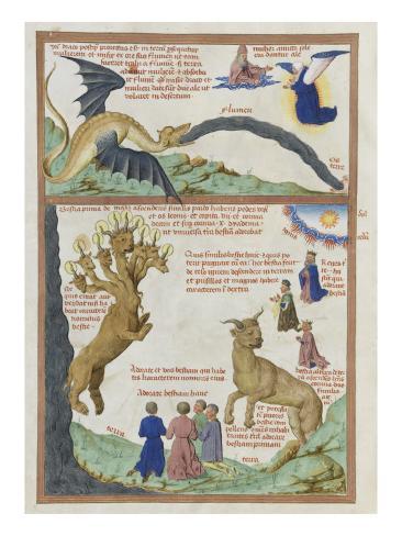 chat saint pol sur mer