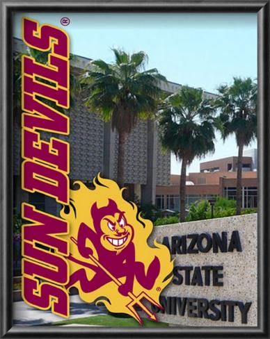 Iphonecase on University Arizona Mascot
