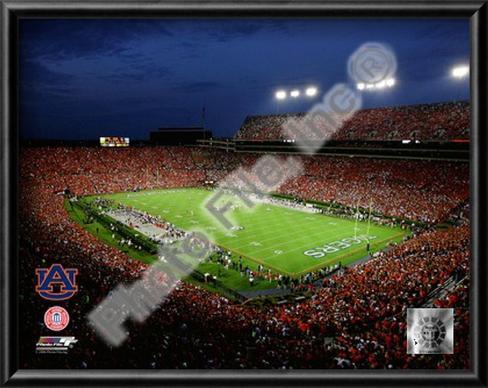 Jordan Hare Stadium Auburn Univeristy Tigers 2008 Lamina Framed Art Print