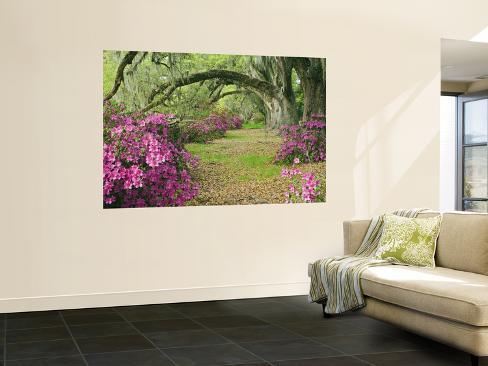 Plantations To Visit Around Charleston Sc