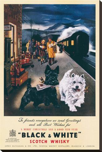 http://imgc.allpostersimages.com/images/P-488-488-90/59/5918/QJDRG00Z/posters/black-and-white-scotch-whisky.jpg