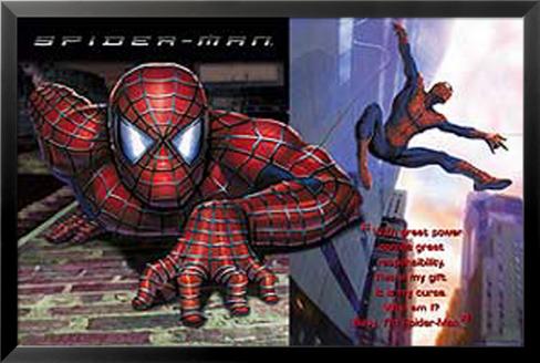 spiderman 1 essays spiderman 1 essays