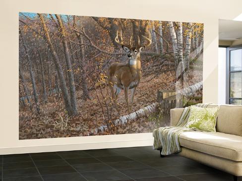 Big Buck Deer