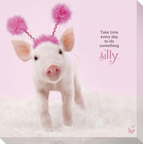 in-the-pink-silly-pig.jpg