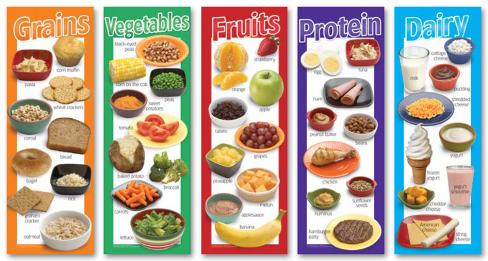 healthy fruit chart the wiggles fruit salad healthy fruit chart the wiggles fruit salad
