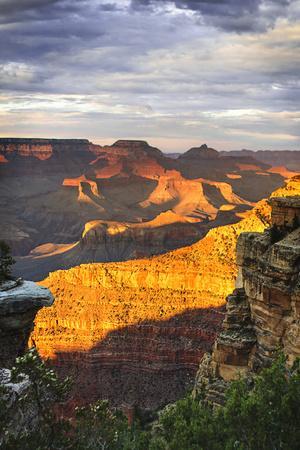 Grand Canyon National Park Posters & Wall Art Prints