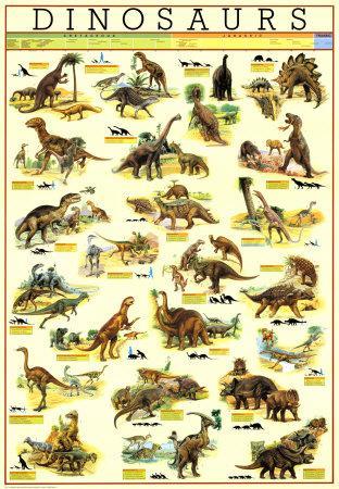 Dinosaur Evolution Educational Science Chart Poster 36 x 24in