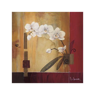 Northern Reflections - Loons Canvas Art by Don Li-Leger