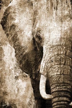 Elephant Posters & Wall Art Prints