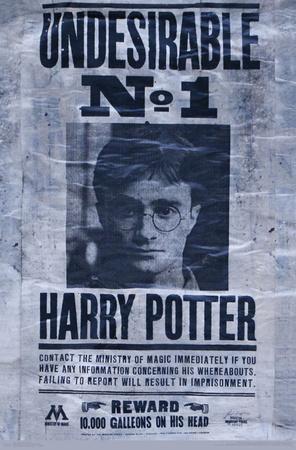 Harry Potter Posters & Vintage Hogwarts Wall Art Prints